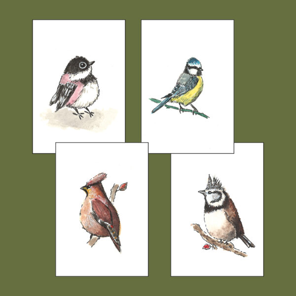Kaarten dubbel A6 met vogels collage