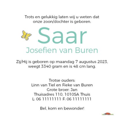 Geboortekaart kinderwagen binnenzijde
